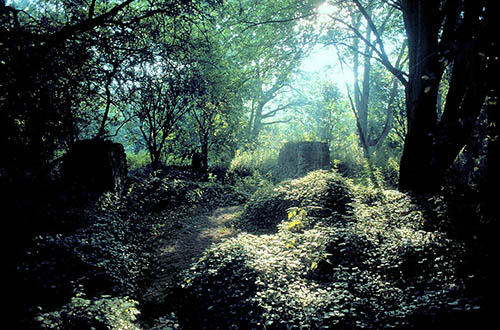 sfeerfoto van eco-kathedraal van Louis G. le Roy uit Oranjewoud, die in Mildam bezig is met de bouw van een kathedraal van restafval van stratenmakers. Hij doe dit met de handen, en zonder gereedschap.FOTO: Peter WoudaHome-page: http://www.noordoost.nlE-mail: persbureau@noordoost.nl(c) Persbureau Noordoost/Heerenveentel: 0513-626999 fax: 0513-623253mobiel: 0655-736.956